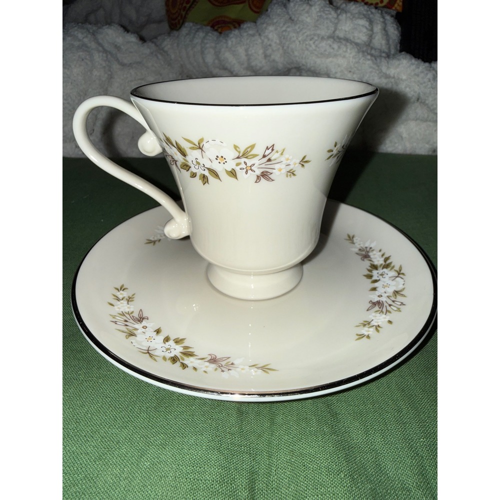 Edgerton Fine China Spring Rhapsody Tea Cup and Saucer Set Made in USA Vintage